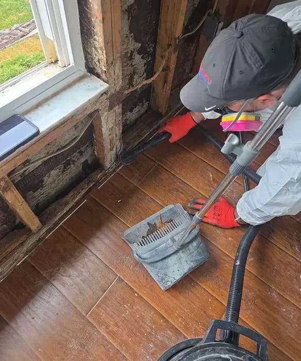 Cleanup after drywall removal
