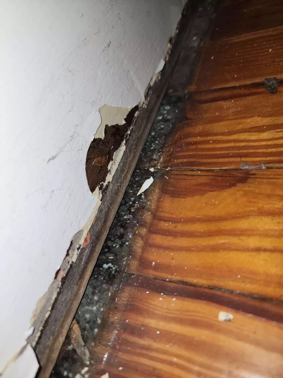 Damaged flooring along the wall