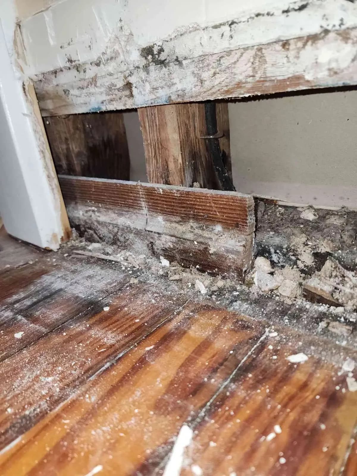 Wet framing exposed for drying