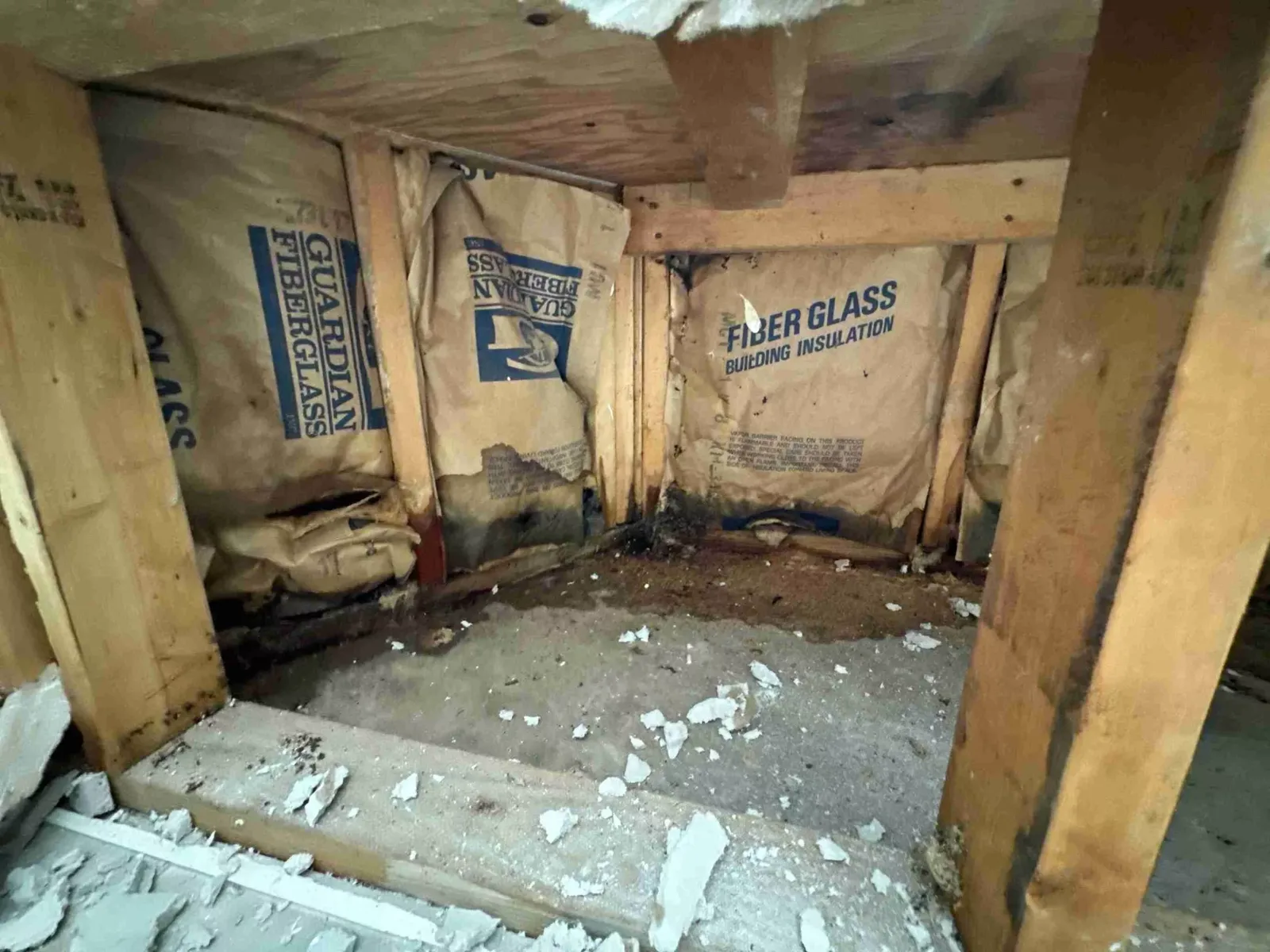 Wall cavity opened for drying